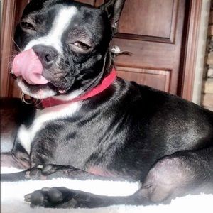 Meet your Posher, Delaney